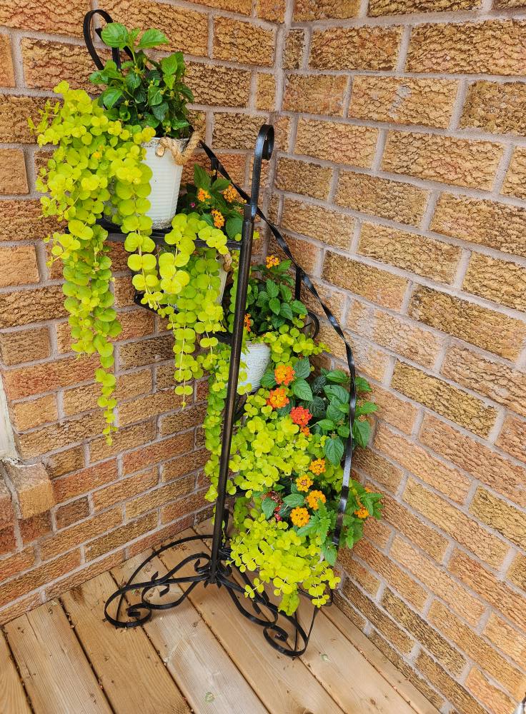 Repurpose Box Springs In Garden How To Repurpose A Box Spring Into A