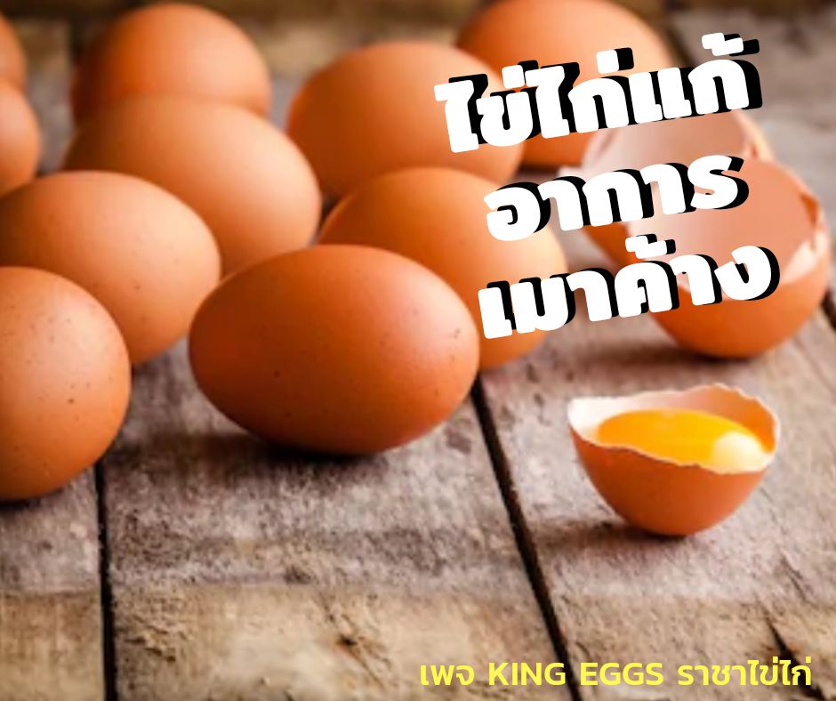 คิงส์ เอ้กส์ - ราชาไข่ไก่ - King Eggs - #ไข่ไก่แก้อาการเมาค้าง🍳🍳 ไข่ ...