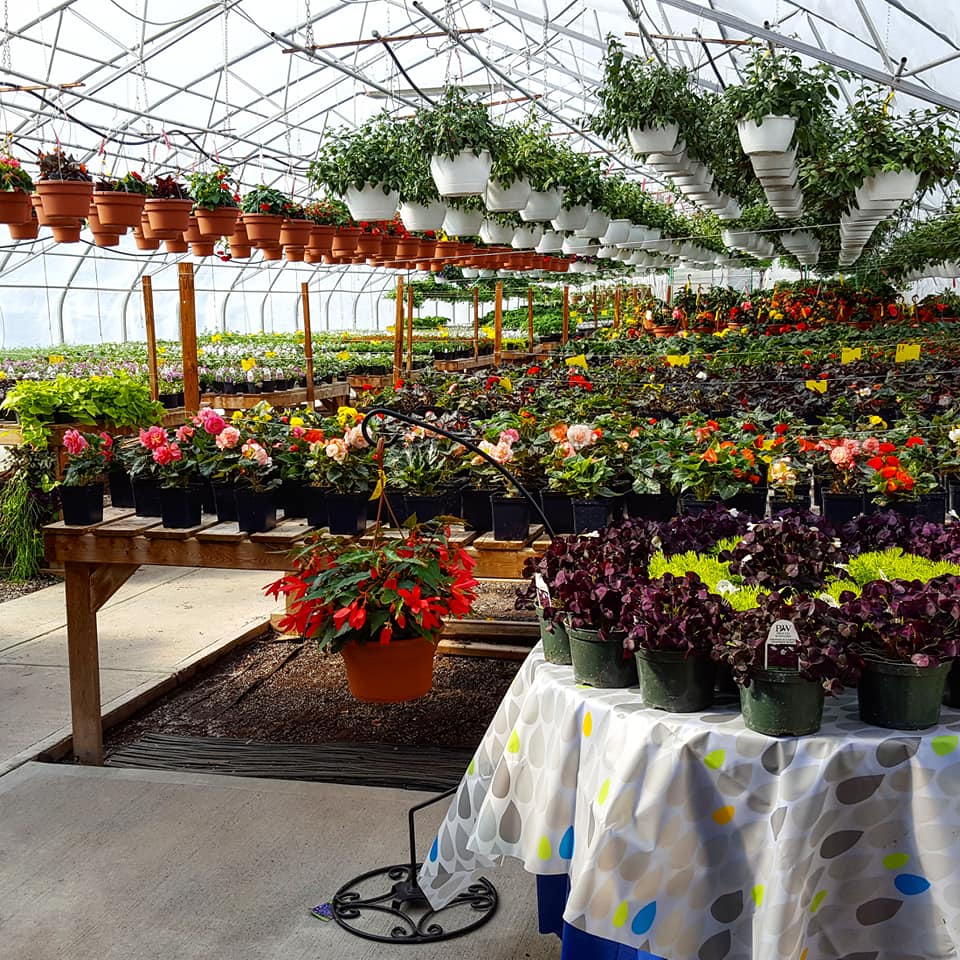 The Plant Ranch - WE ARE NOW OPEN TO THE PUBLIC! 😁 The... | Facebook