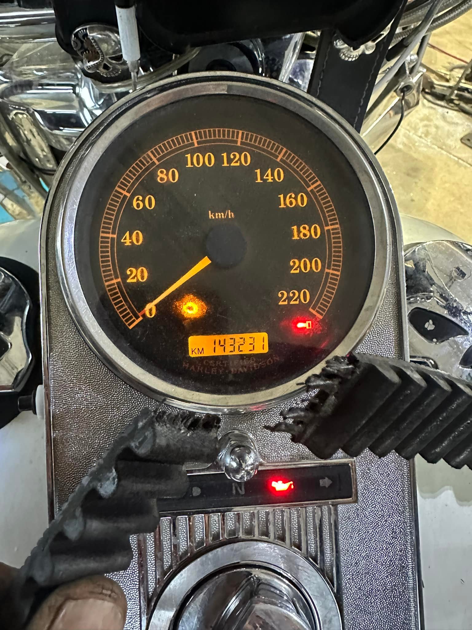 Harley Davidson Drive Belt Replacement and Maintenance Tips