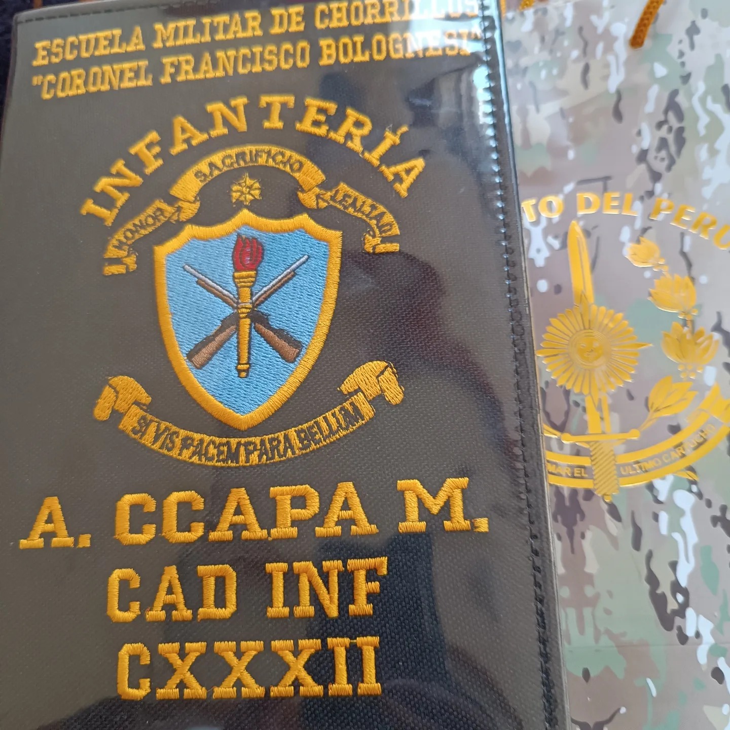 Andre Ccapa Mamani