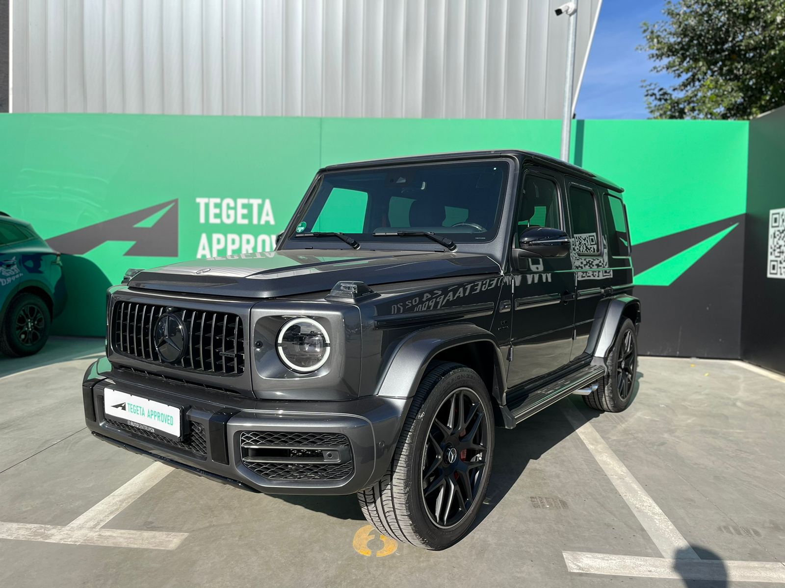 Tegeta Approved • თეგეტა ეფრუვდ | Tbilisi