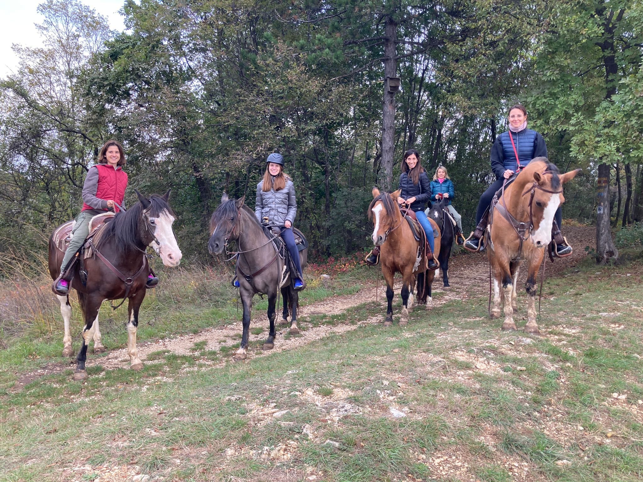 Centro Ippico BM FARM added a new... - Centro Ippico BM FARM