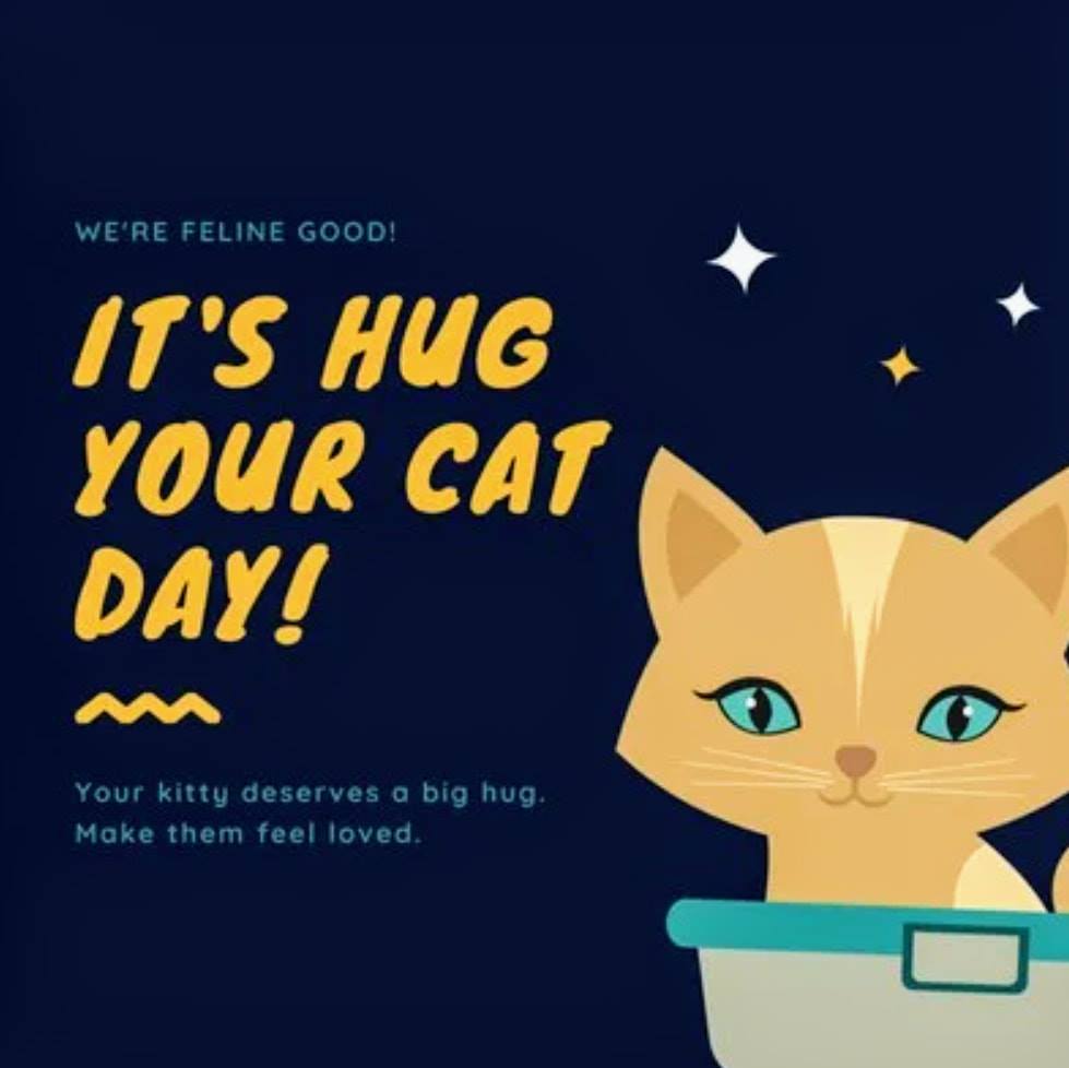 June 4th is National Hug Your... - Ozarks Kat and K9 Shelter | Facebook
