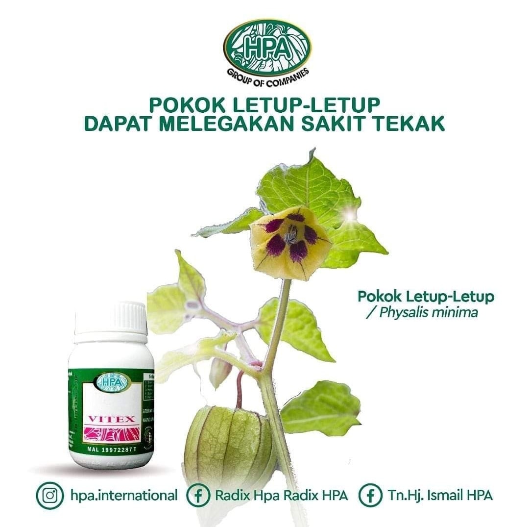 Nama Herba: Pokok Letup-Letup Nama... - Stokis HPA Online | Facebook