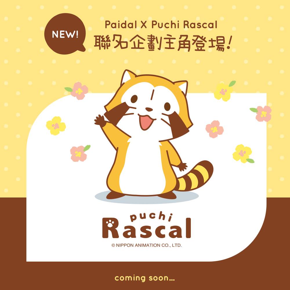 Paidal - 🎉猜到了嗎!? 登登登登~🎶!! Paidal聯名新企劃主角😁 🧐Paidal x Rascal... | Facebook