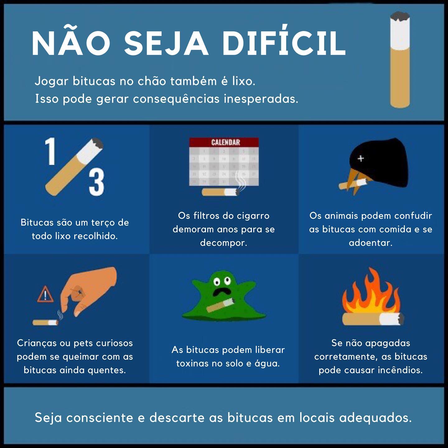 Bitucar