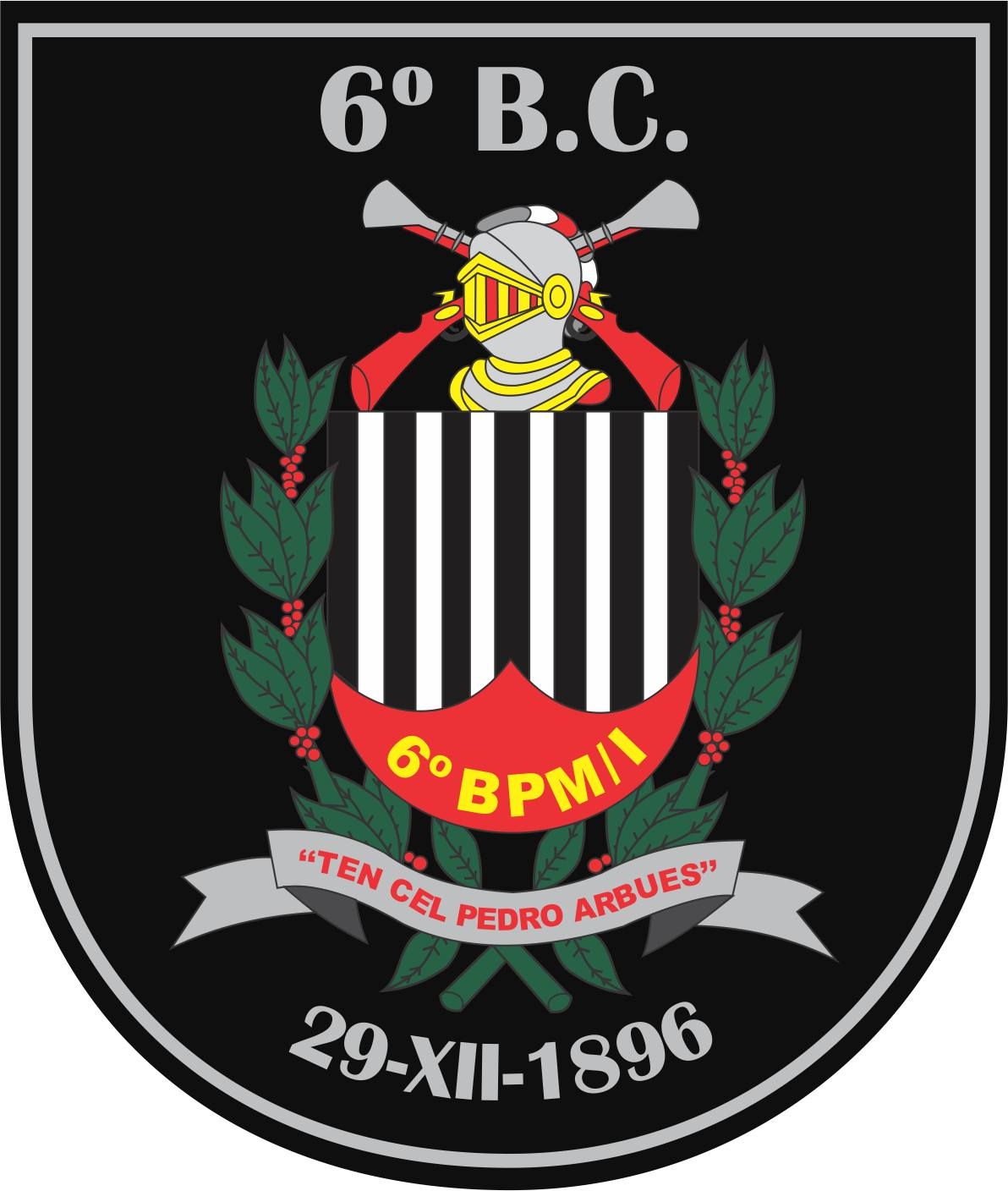 Treinamento constante não é opção, é... - Sexto BPMI PMESP | Facebook