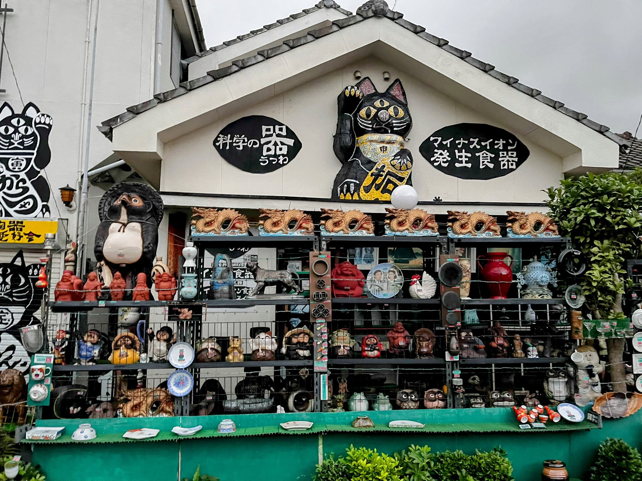 黒崎の住宅地にあらわれる、不思議なお店😁カタツムリ販売店⁉️陶器屋