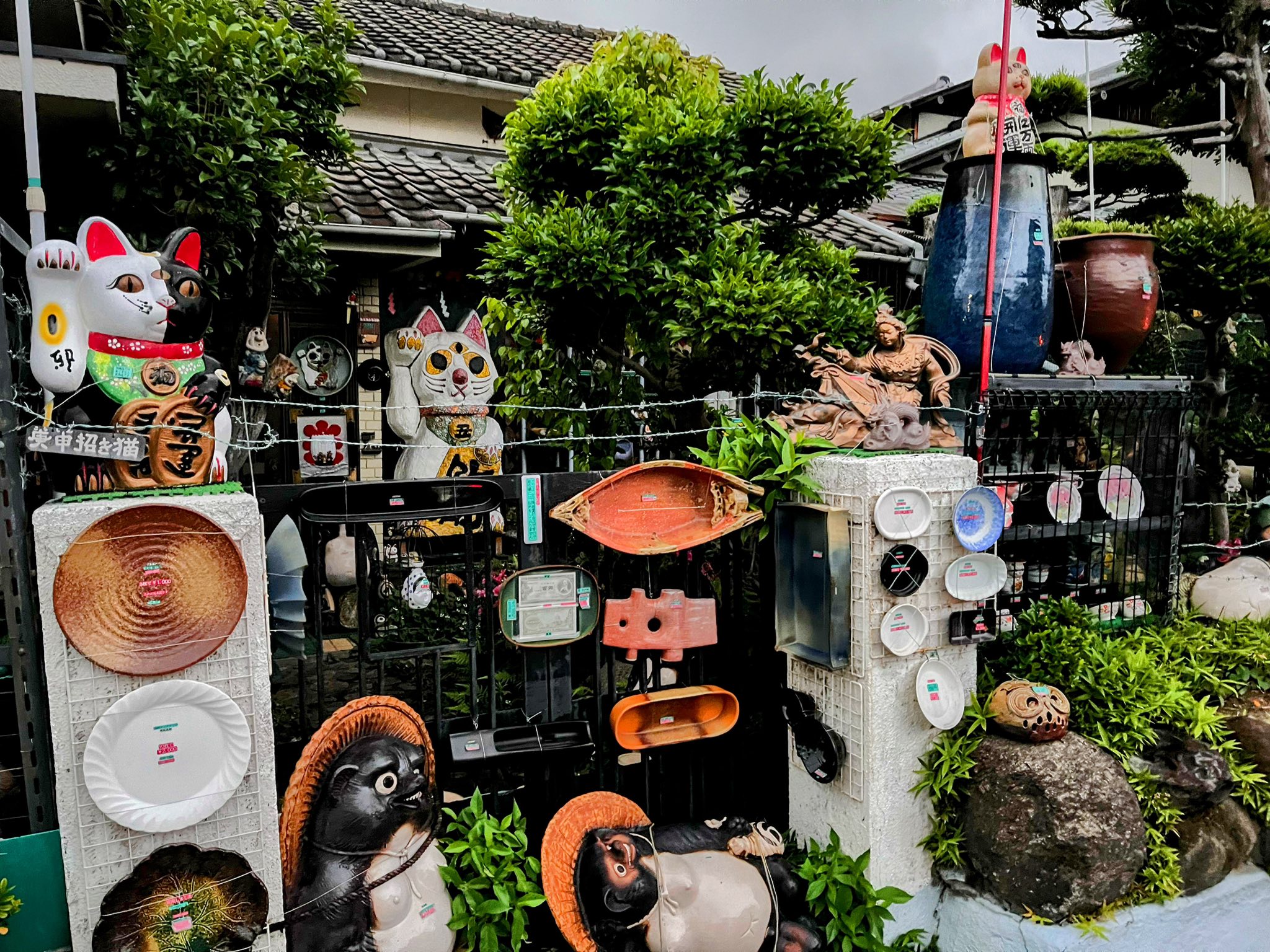 黒崎の住宅地にあらわれる、不思議なお店😁カタツムリ販売店⁉️陶器屋
