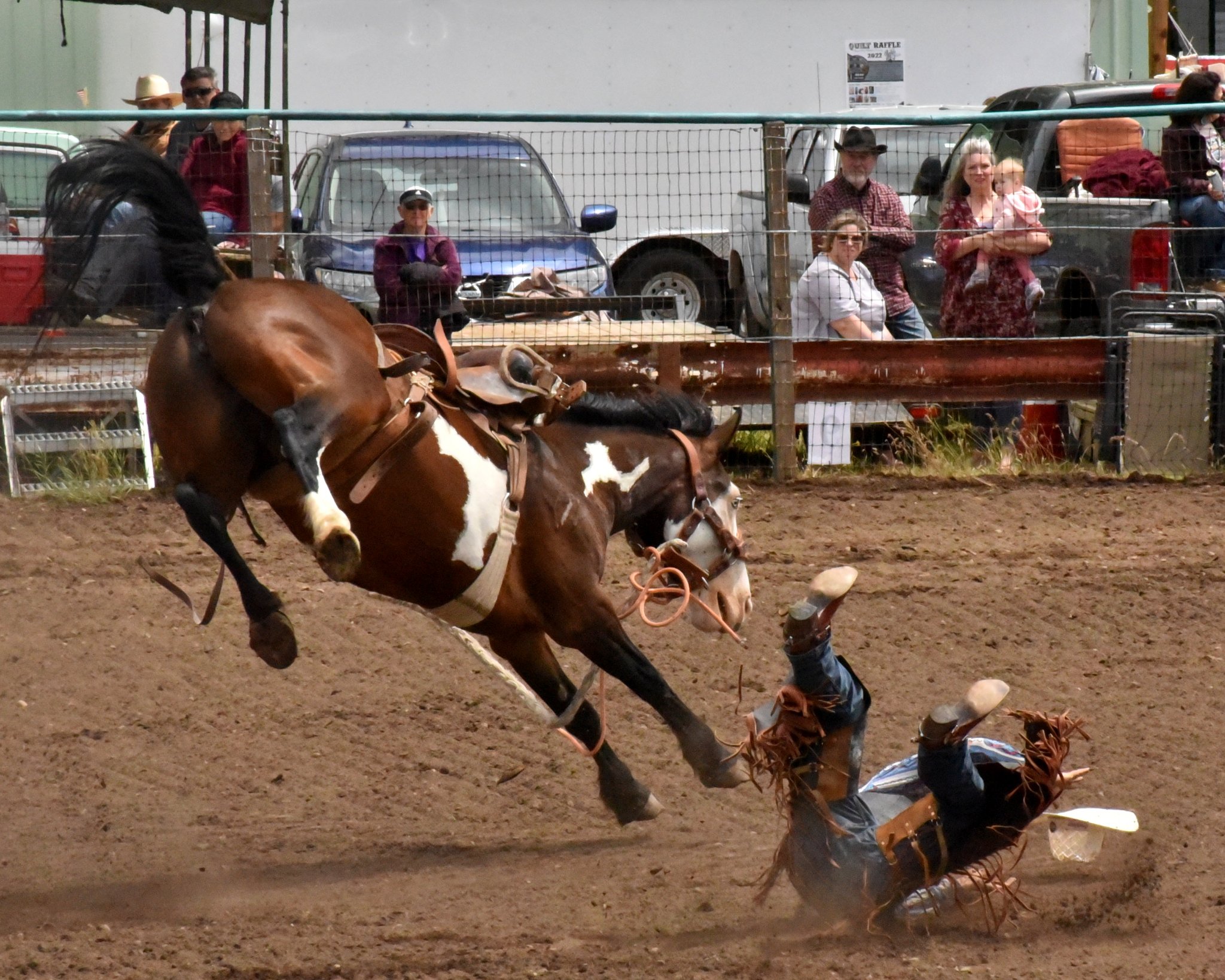 Gold Buckle Rodeo Company