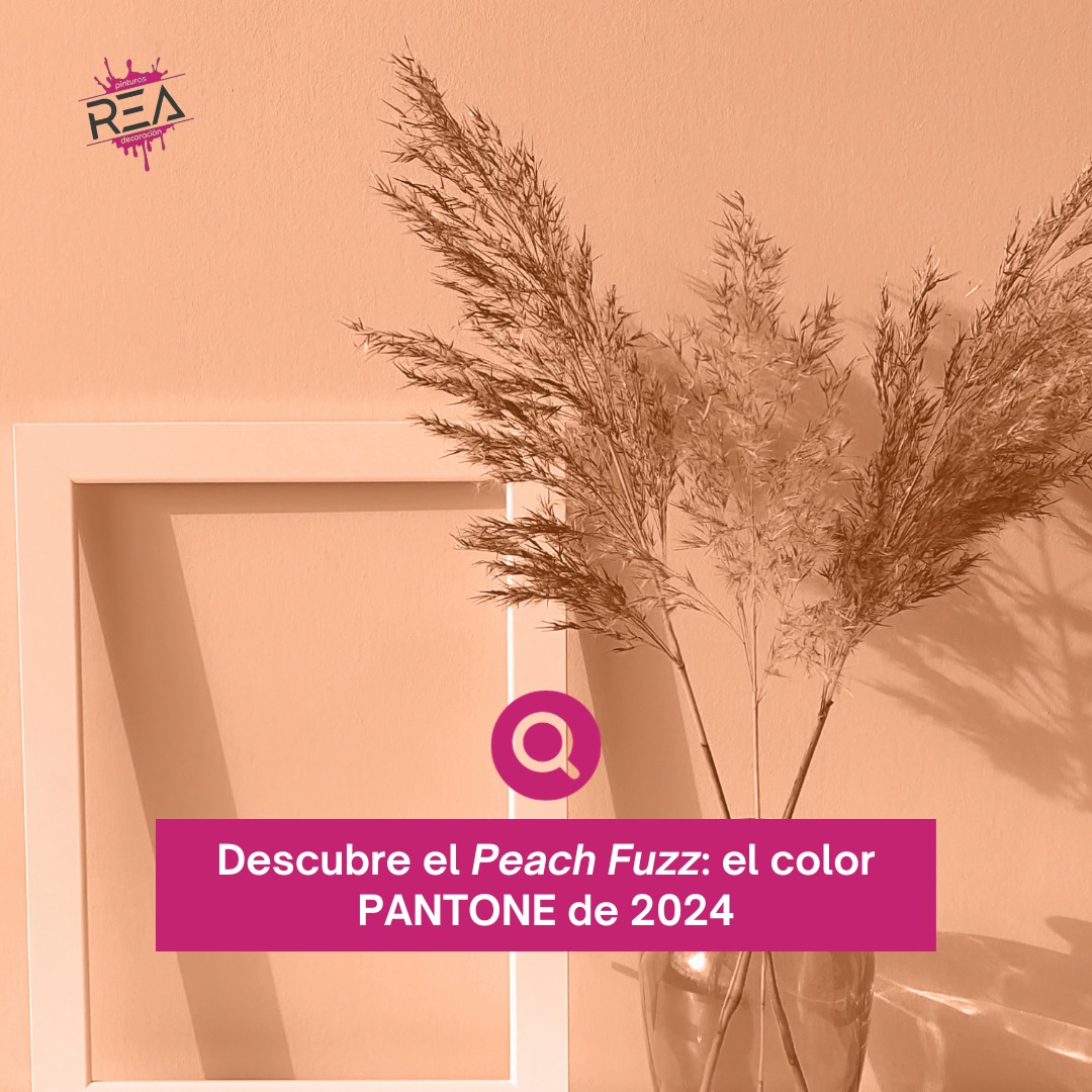 Pinturas Rea - ¡El color Pantone 2024 ha llegado! Es el...
