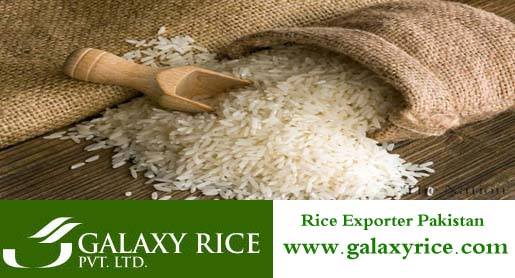 Galaxy Rice | Jhelum