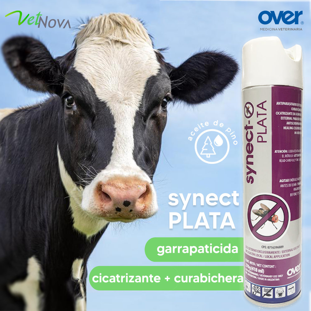 𝗦𝗬𝗡𝗘𝗖𝗧 𝗣𝗟𝗔𝗧𝗔 Antiséptico externo a... - Vetnova SAC - Perú | Facebook