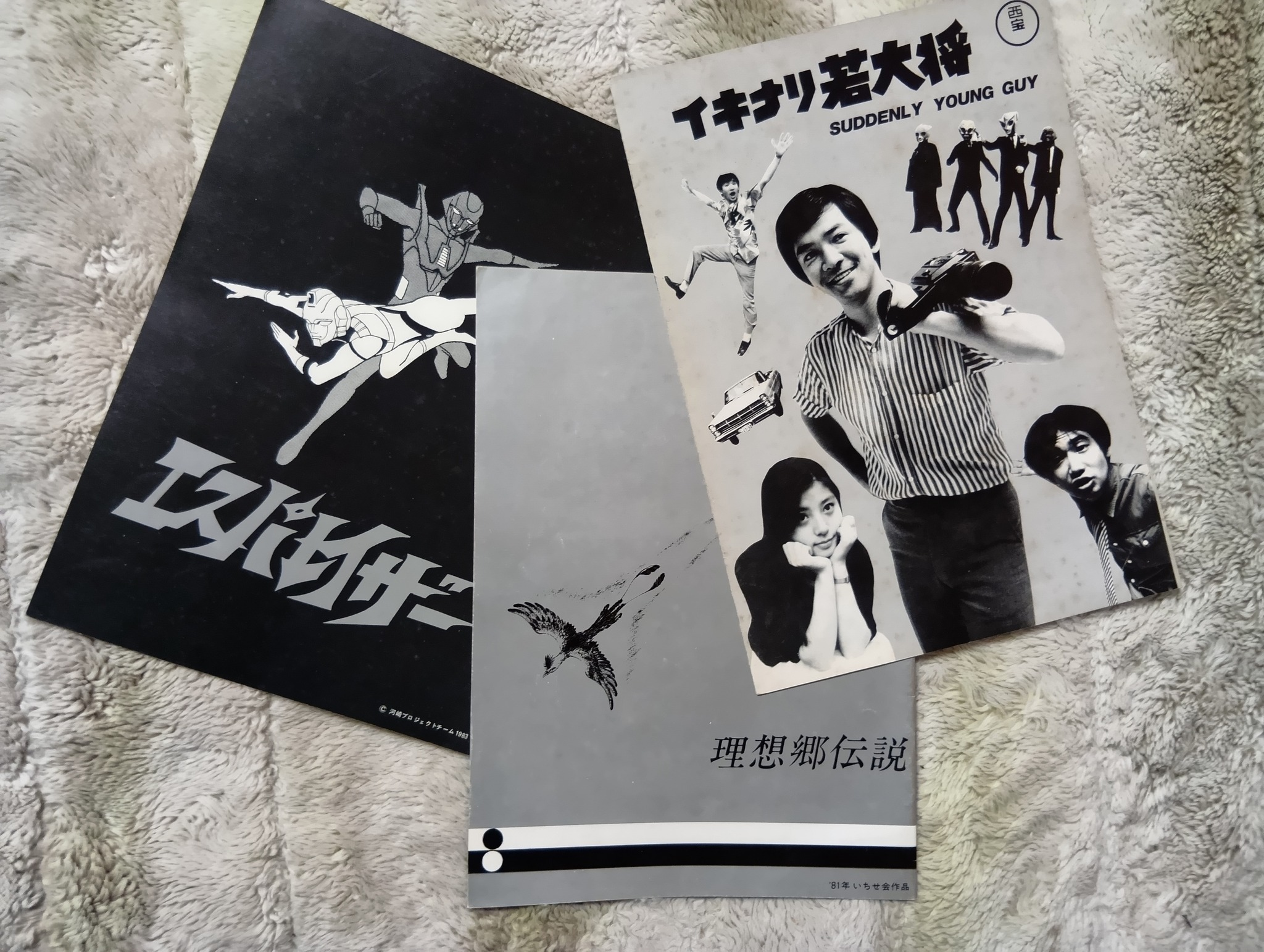 チェリビダッケDVDcol. ～20時間以上の映像を集成したボックス(13枚組