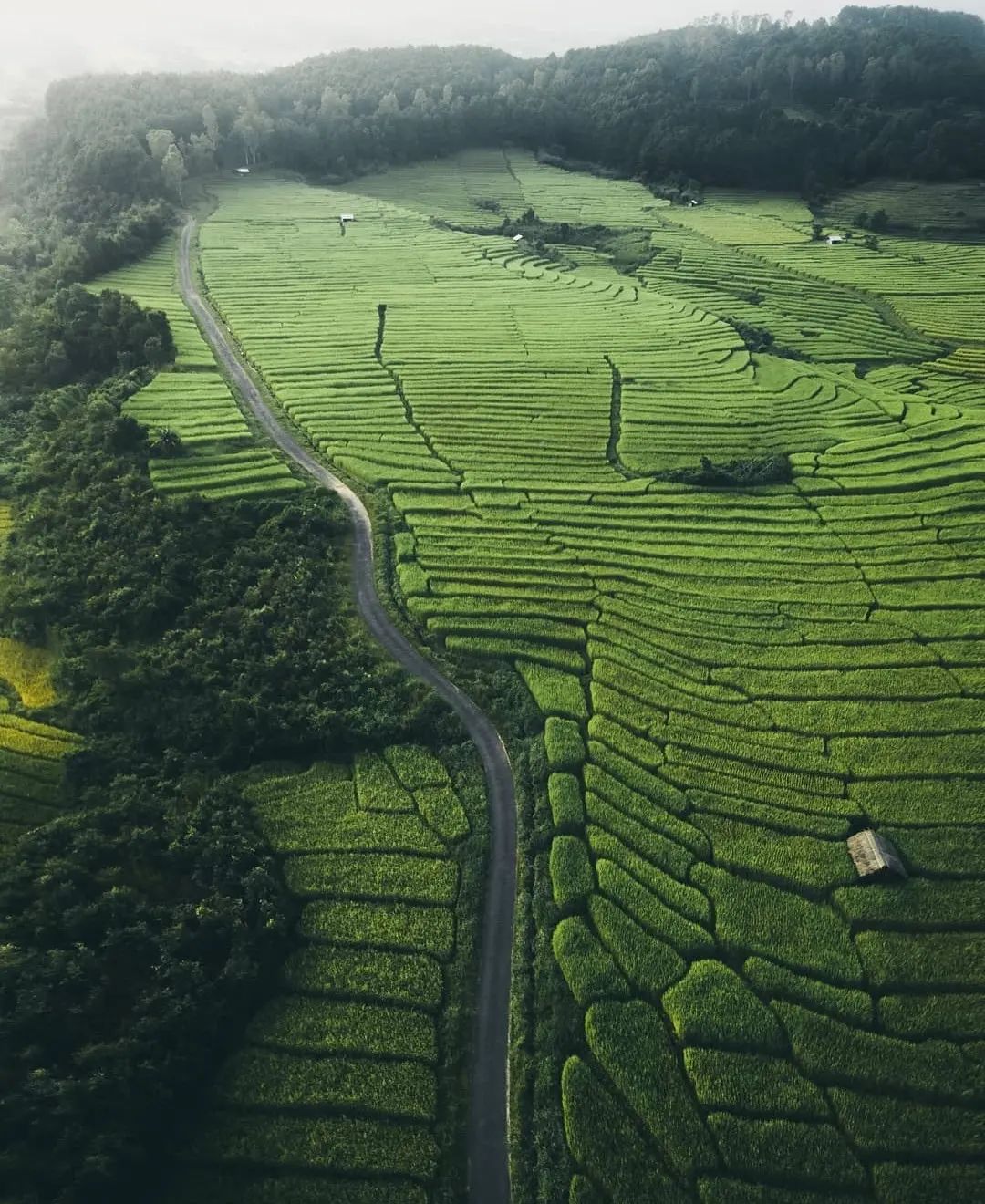 Finderbridge - The Jewel of India 💎 Manipur offers the... | Facebook