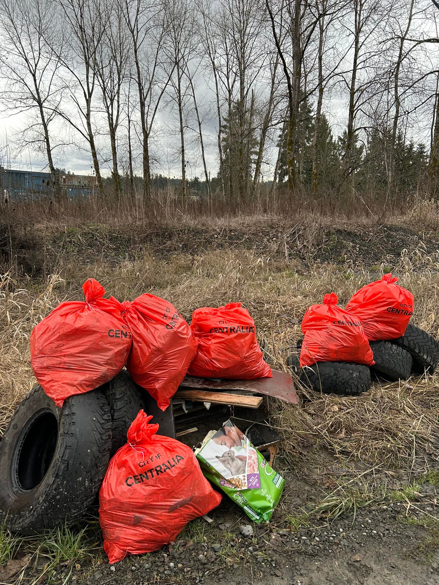 Illegal dumping cleanup efforts underway in Central area