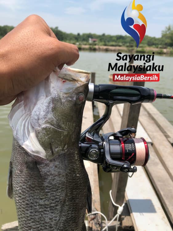 shimano butterfly jigging rod Flat-Fall 100g Green Silver Shimano SLX A Glass ensuring they stay in Size:7'3