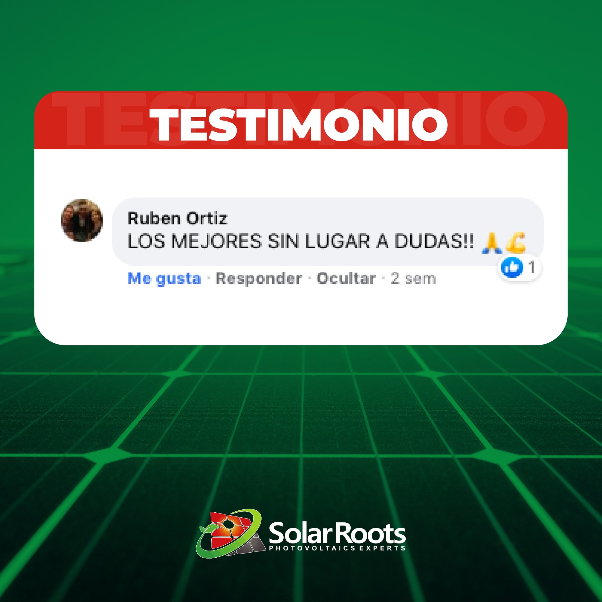 ¡Somos los mejores en Puerto Rico! 🔝 💪... - Solar Roots, LLC | Facebook