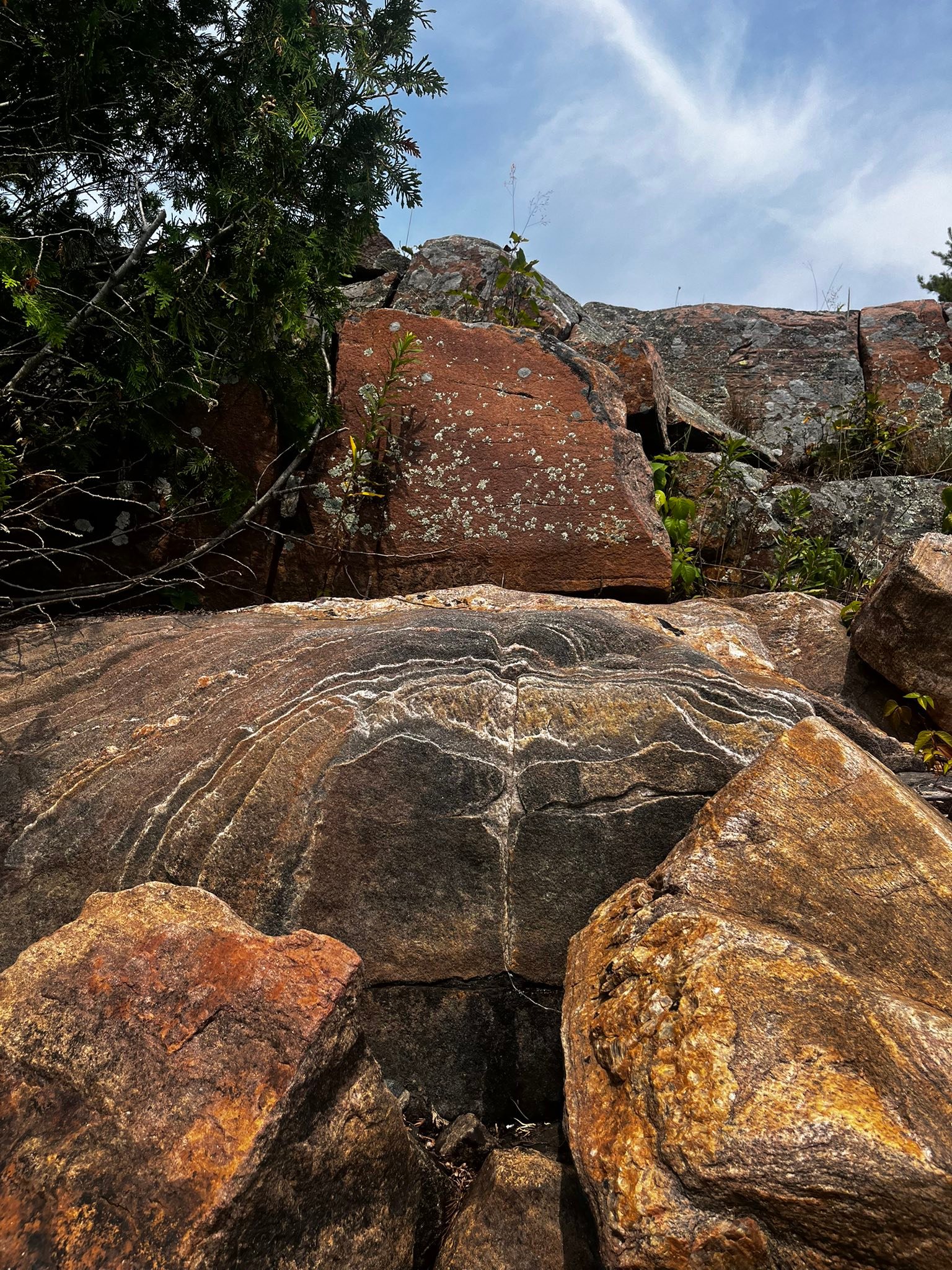Unique rock pattern resembles phoenix or bat