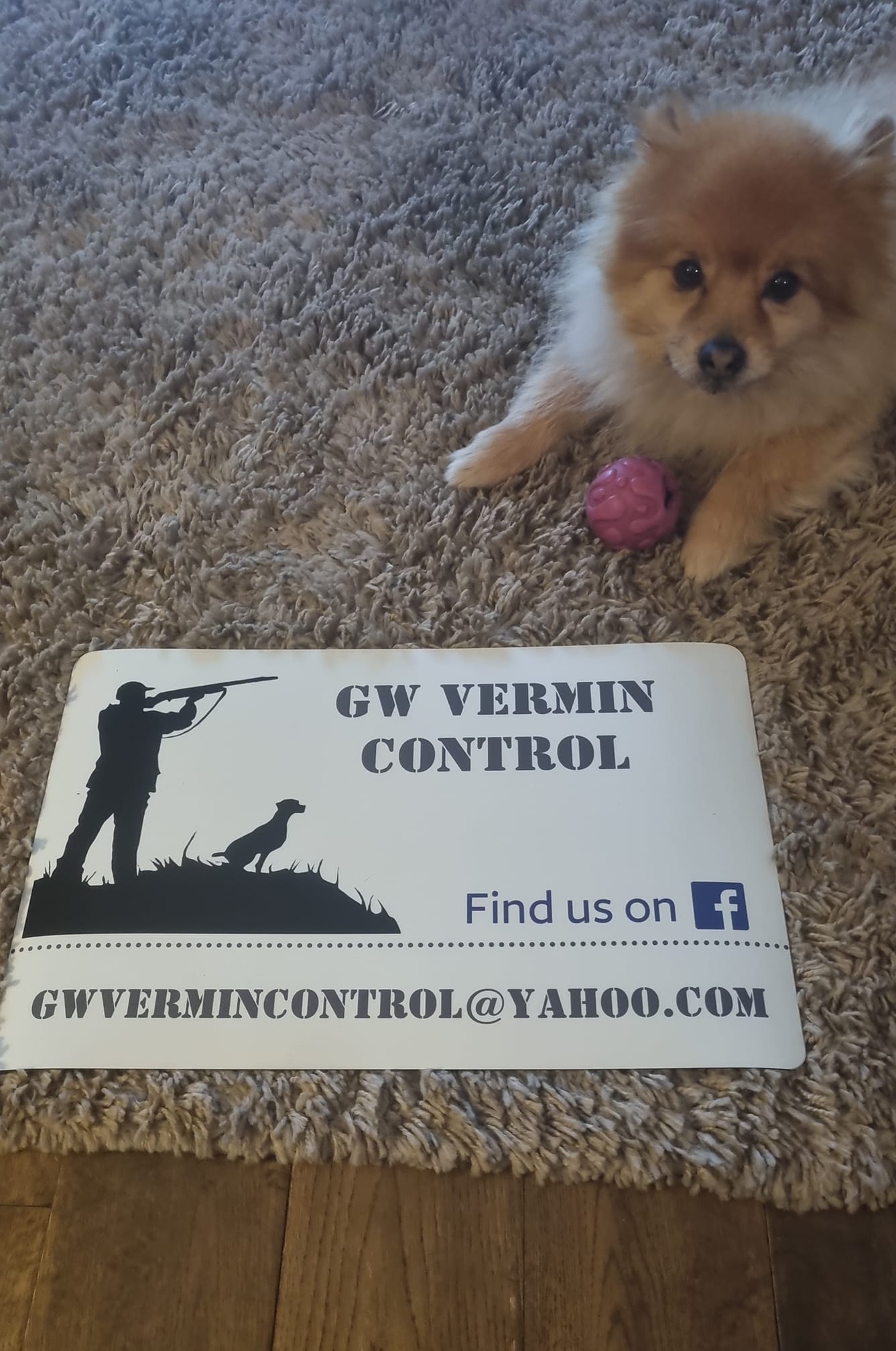 GW Vermin Control
