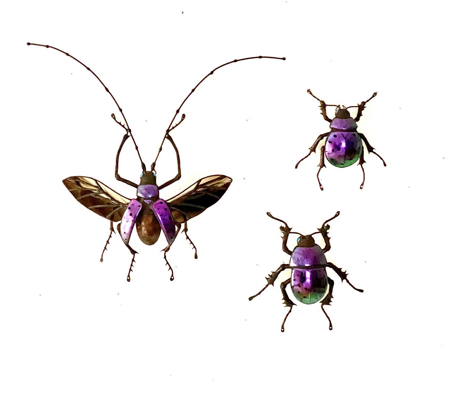 Purple trio...all with bright blue... - Sean Goddard Insects | Facebook