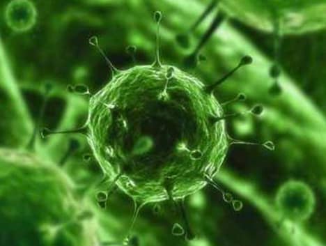 Cryptobites Viral Network | London