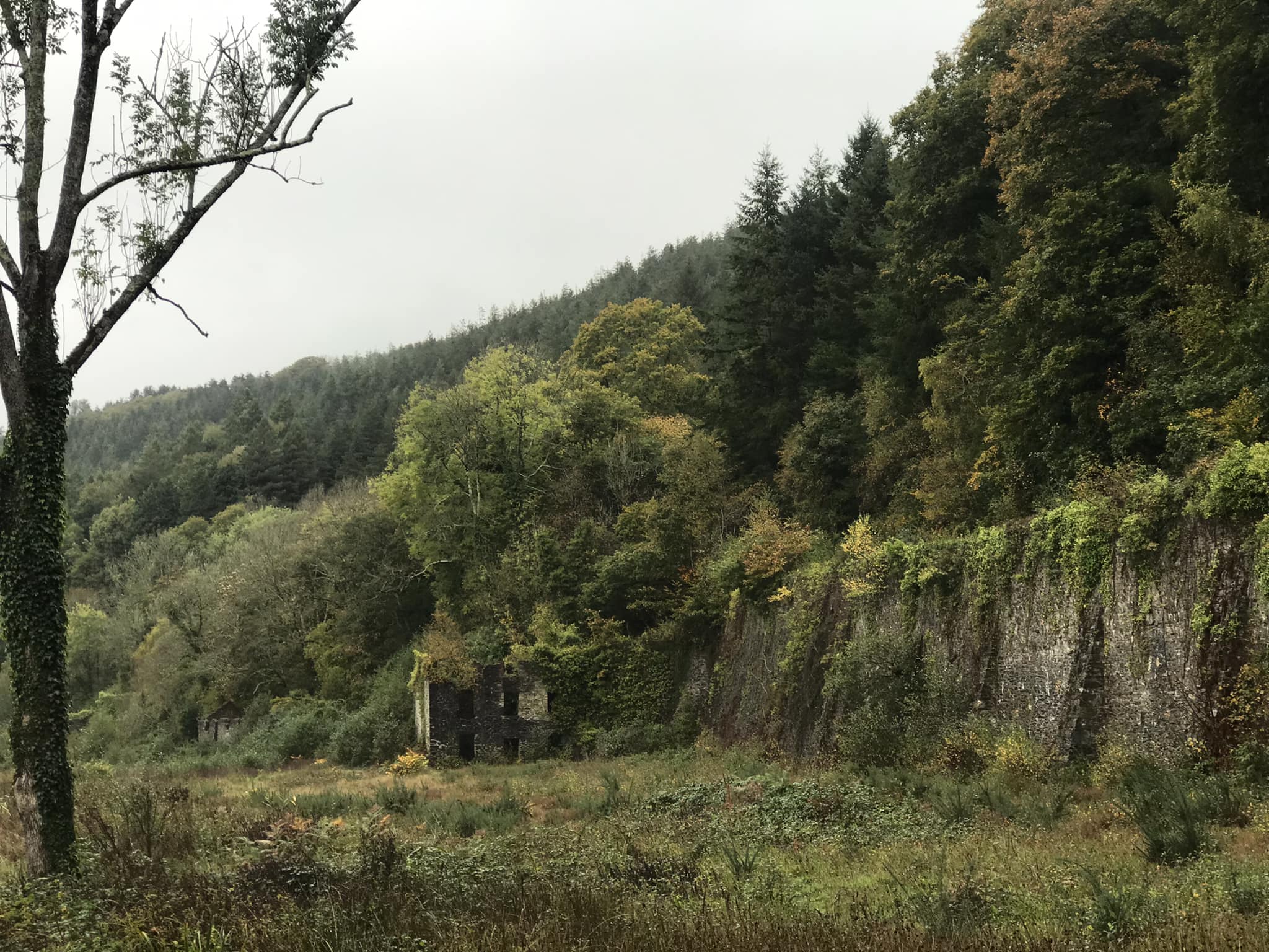 Devon photos 