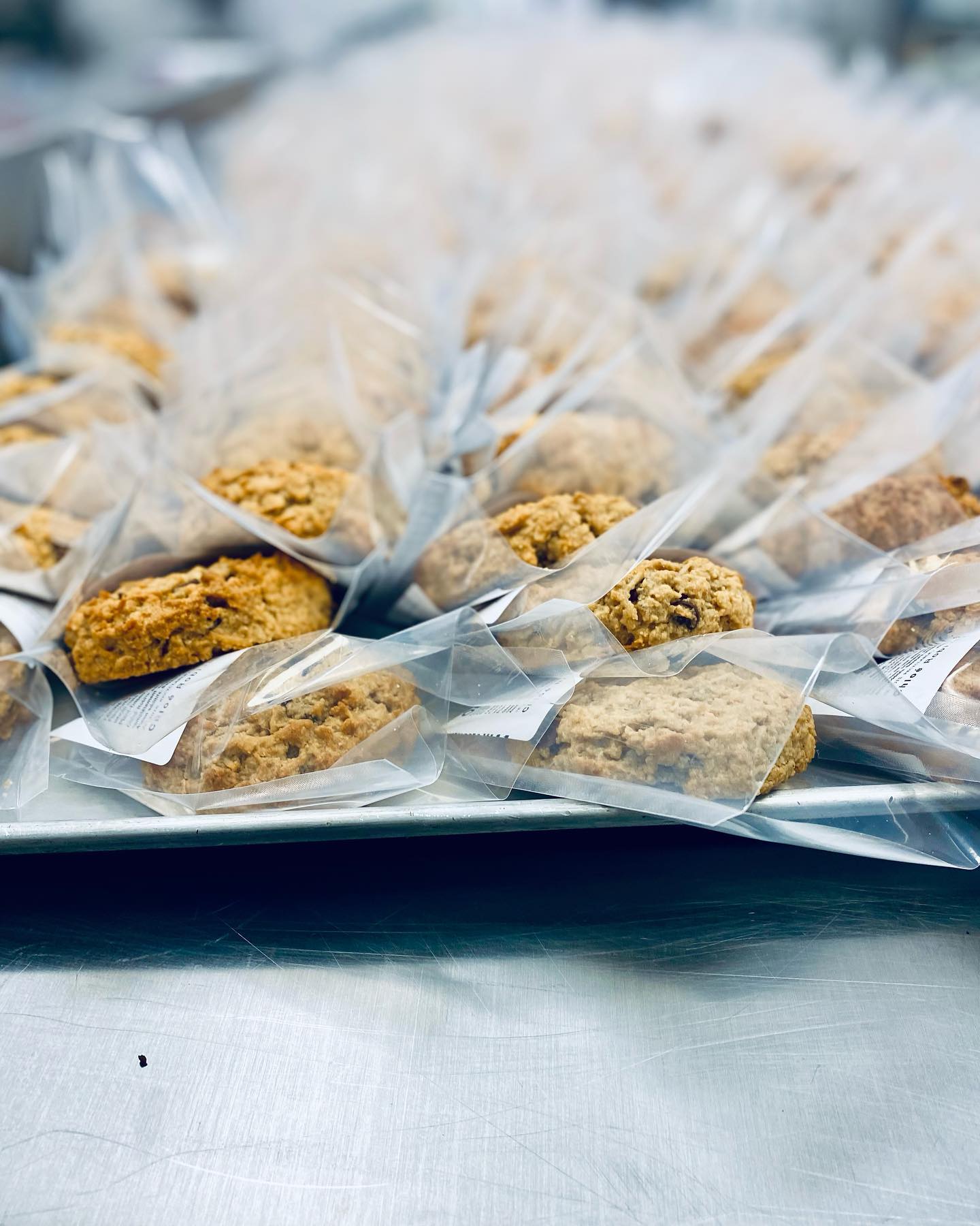 Chloé Robi Lab - Oat Chippy! ♥️ freshly baked out of the... | Facebook