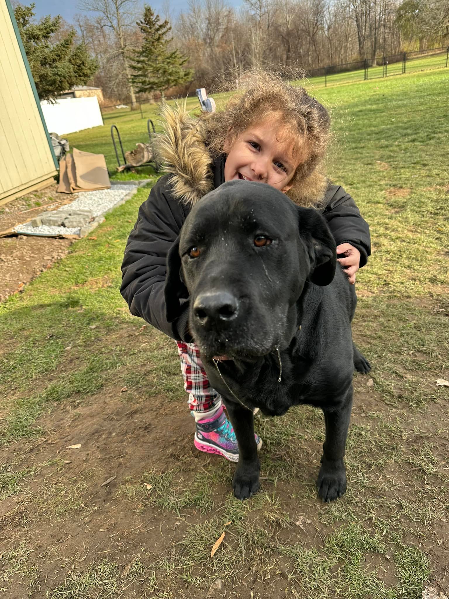 The Dog House | Williamson NY