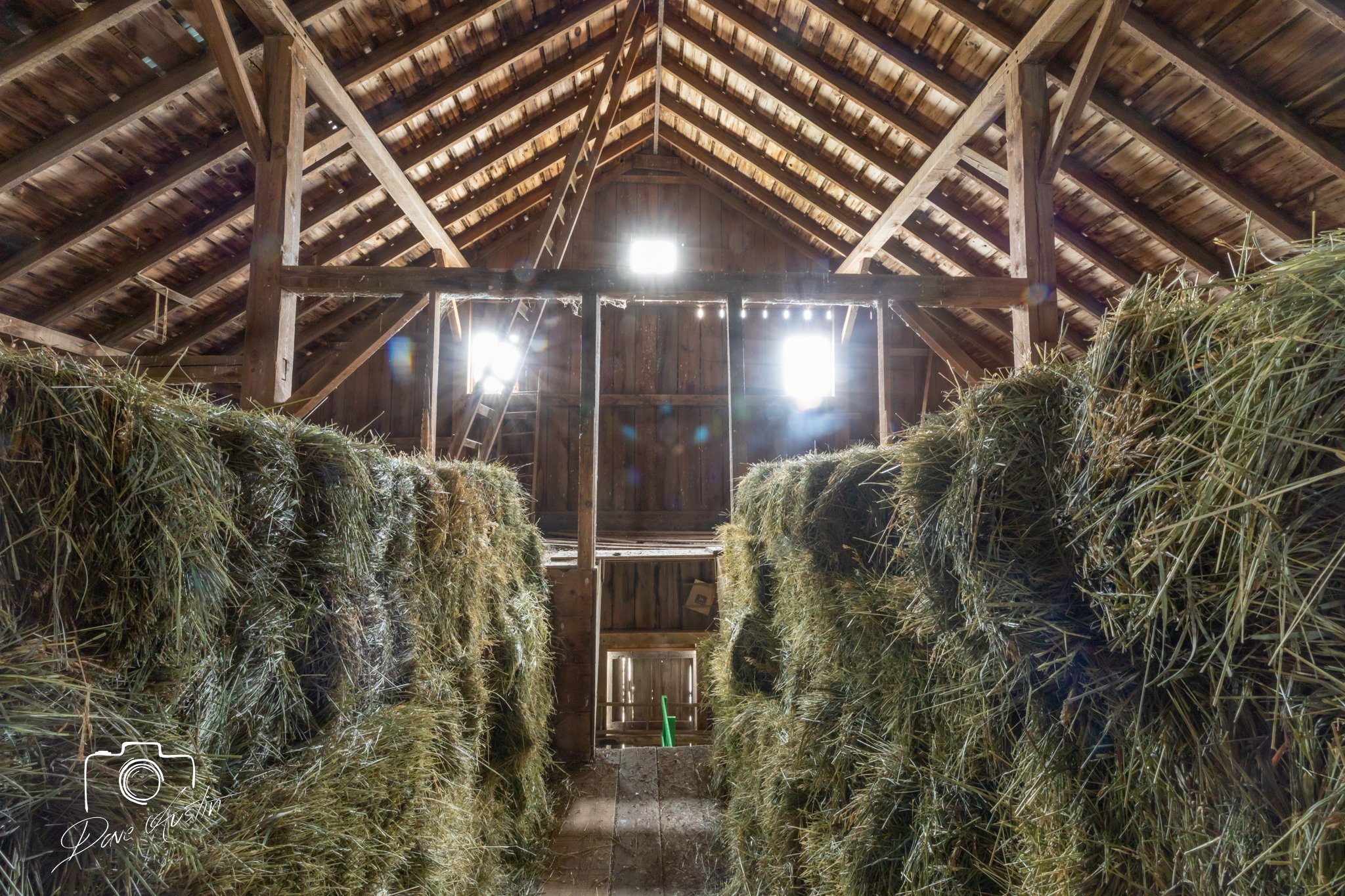 The Iowa Barn Foundation - Freshly baled hay in the haymow of the 1896 ...