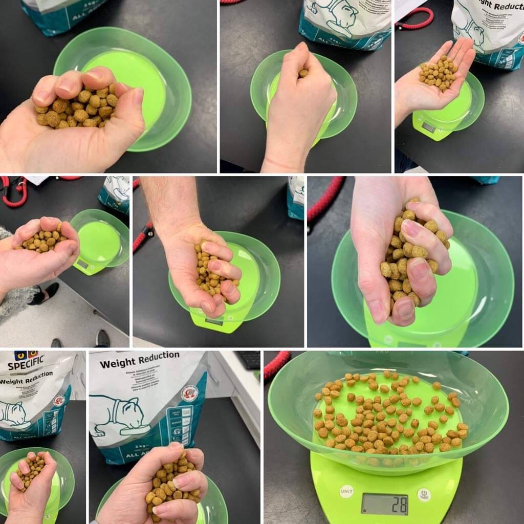 Vets for Pets Harlow - How much is a handful? . We asked all of our ...