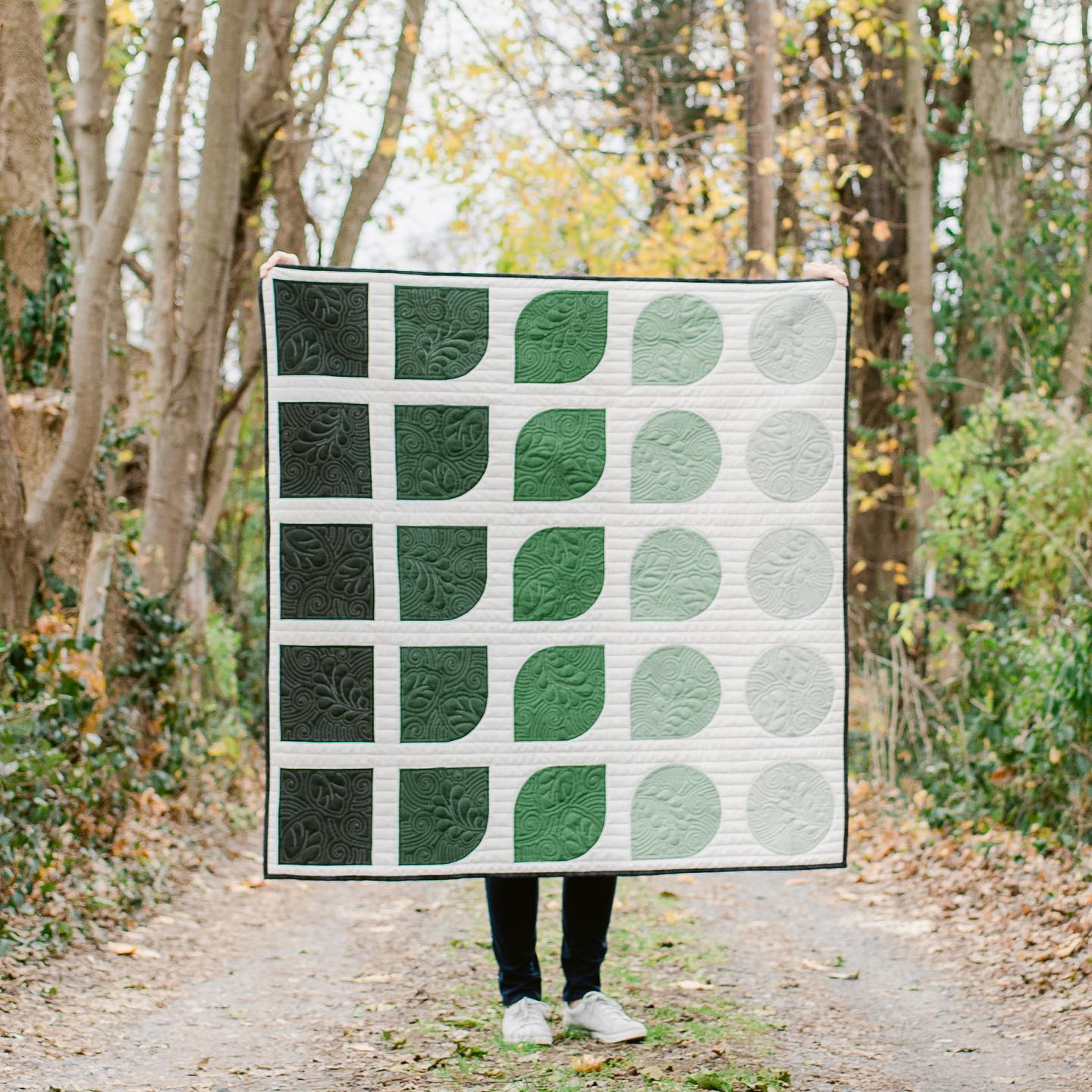 The Evolve Quilt was one of my... - Kiley's Quilt Room | Facebook