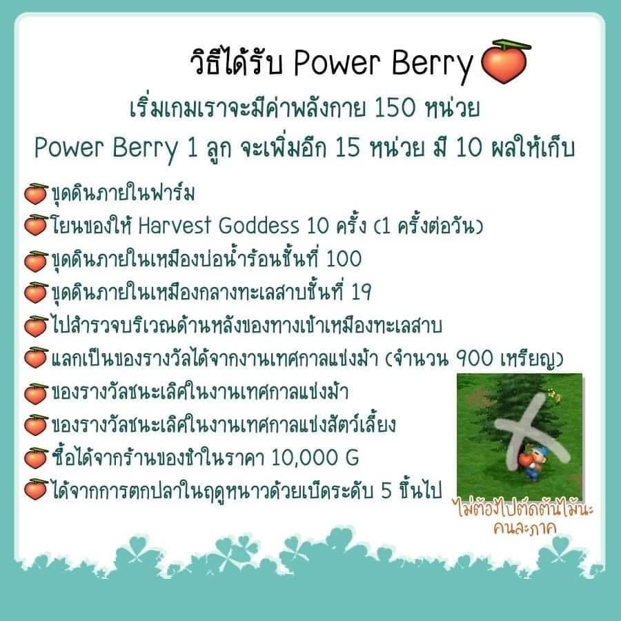 Power Berry ในเกมมีทั้งหมด... - Harvest Moon Thailand Board | Facebook