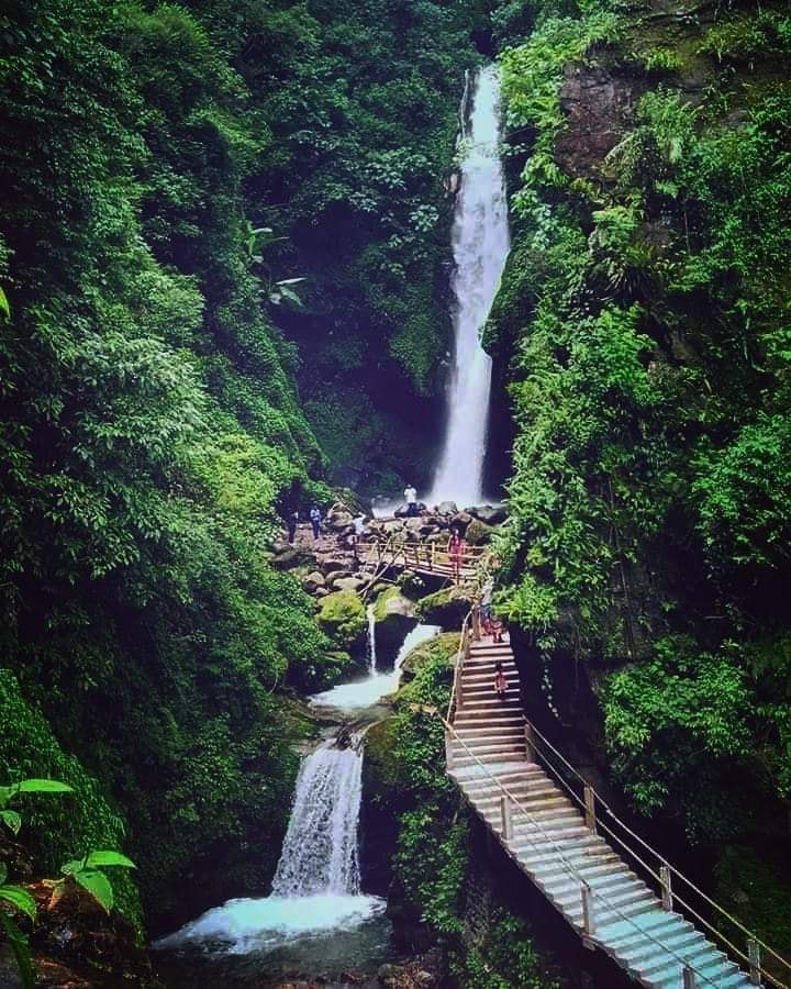 Eco Sikkim Tours And Travels | Majitar
