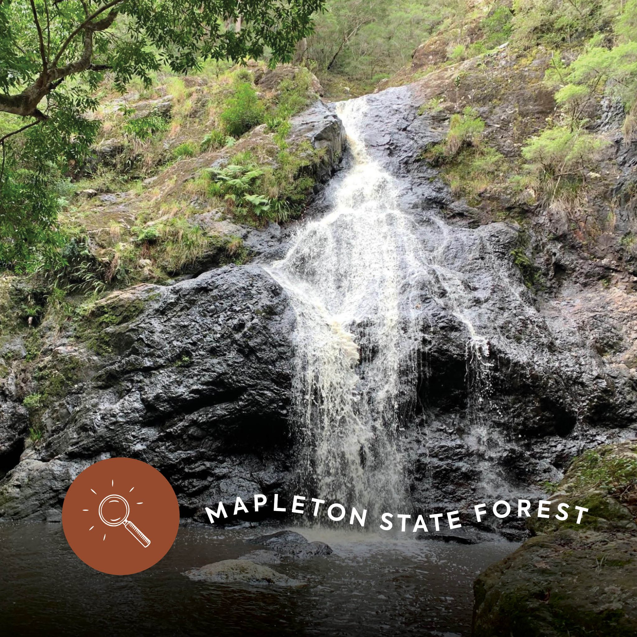 Visit Yandina