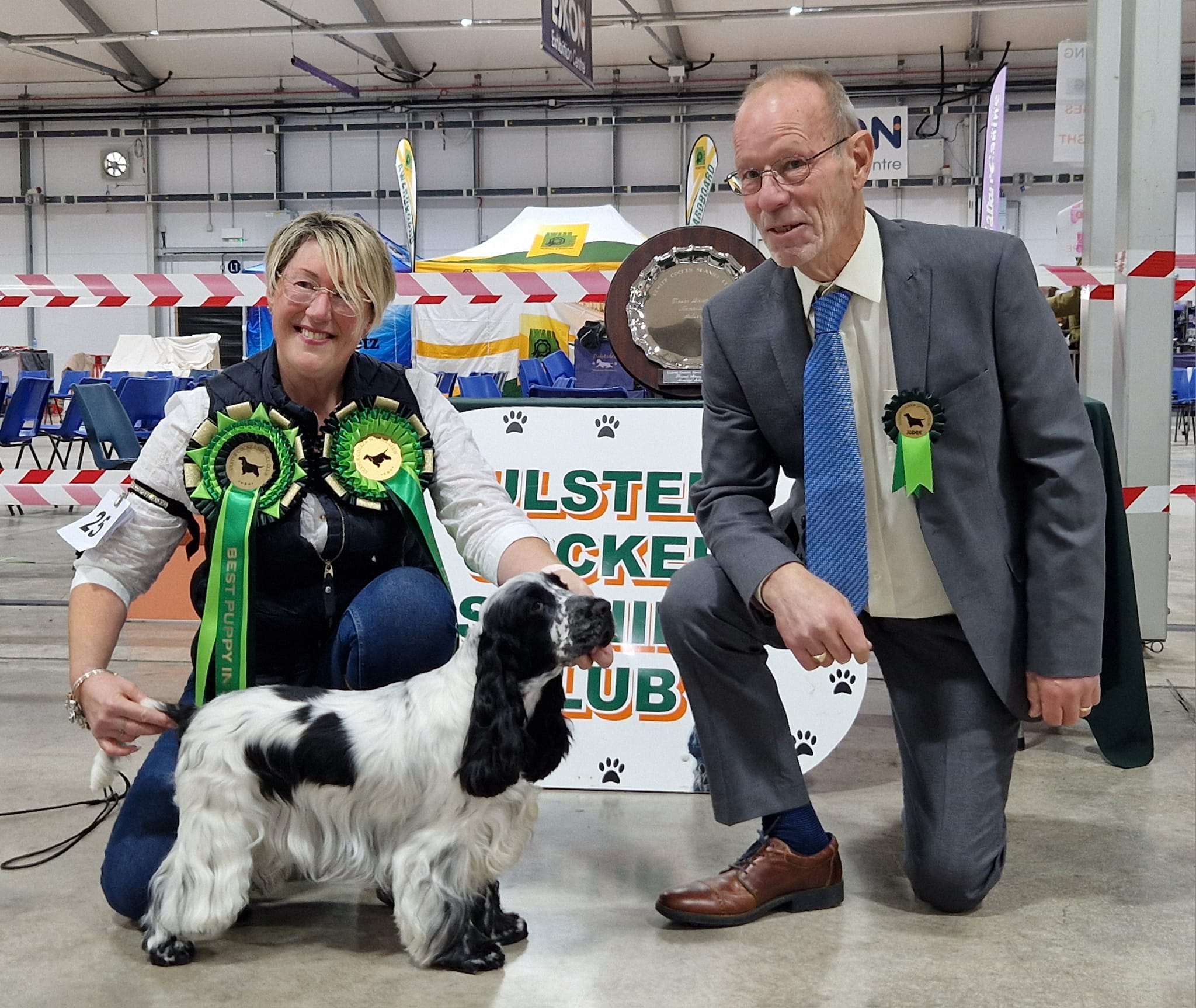 American cocker Spaniel Club of GB | Full results from the champ show ...