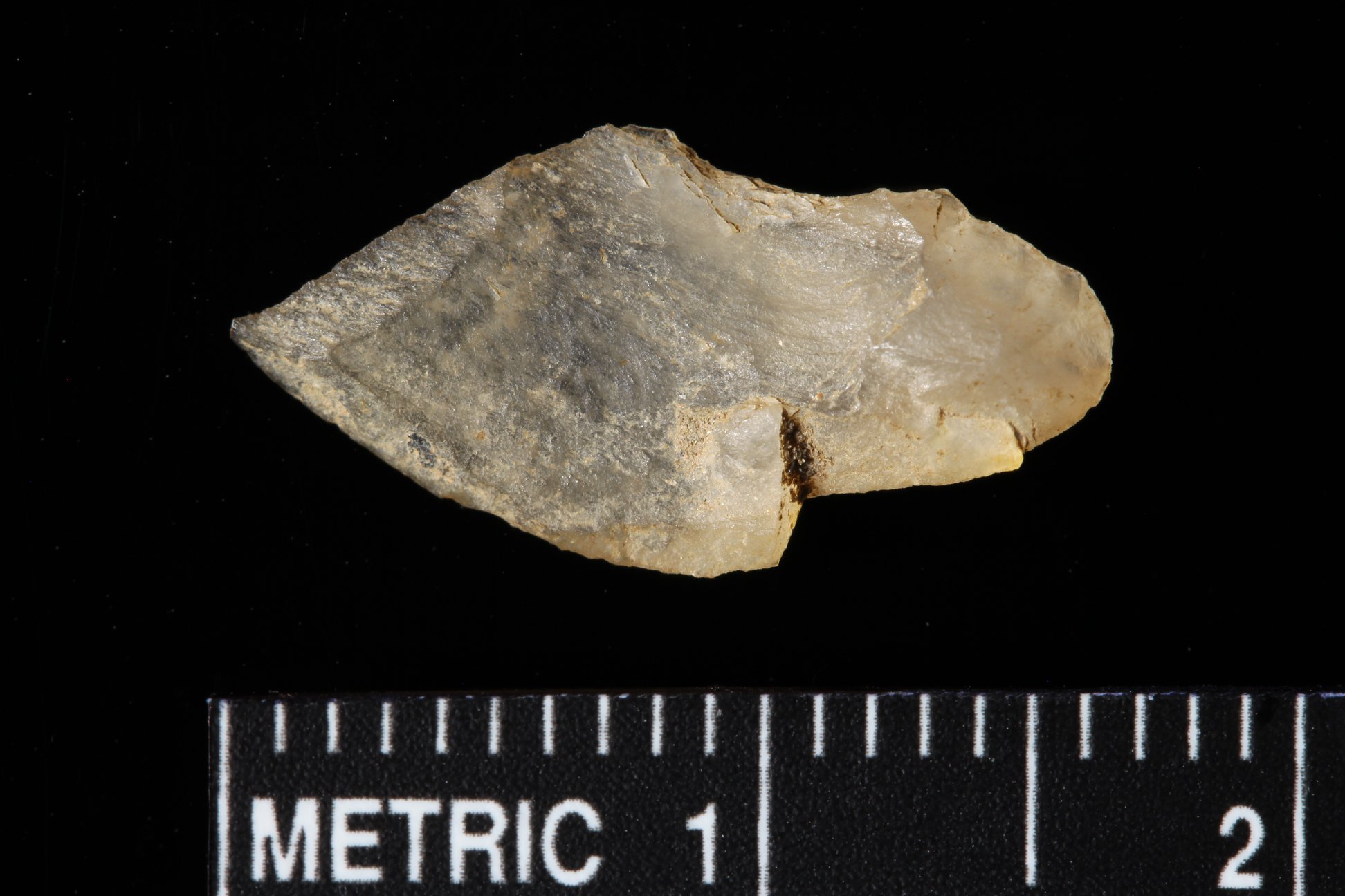 Hang around archaeologists... - Veterans Curation Program | Facebook