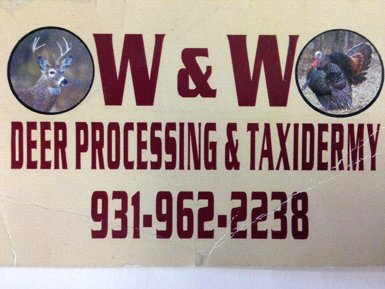 W & W Deer Processing and Taxidermy