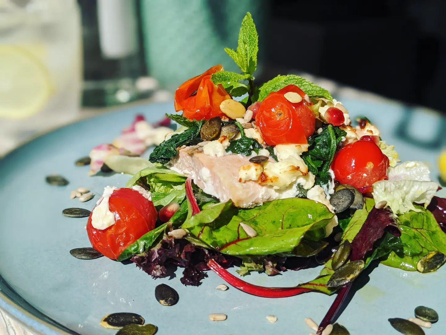 salad-friends-bremen