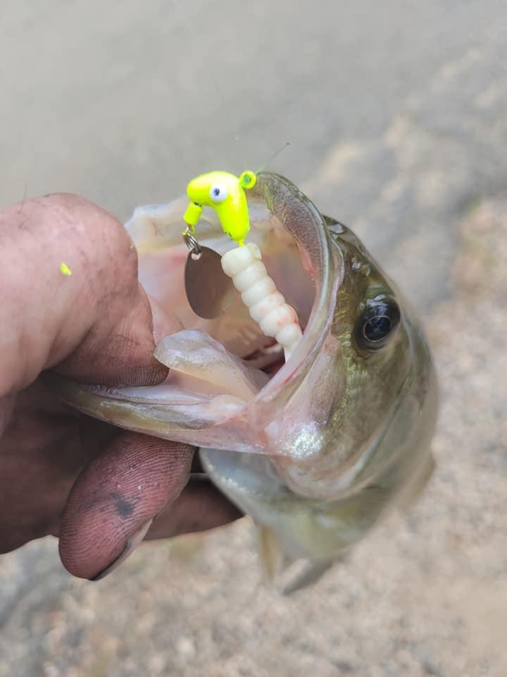 Rig Umbrella Da Pesca 3 Braccia Per Crappie E Bass - Testato In Alabama - 5" Non Verniciato