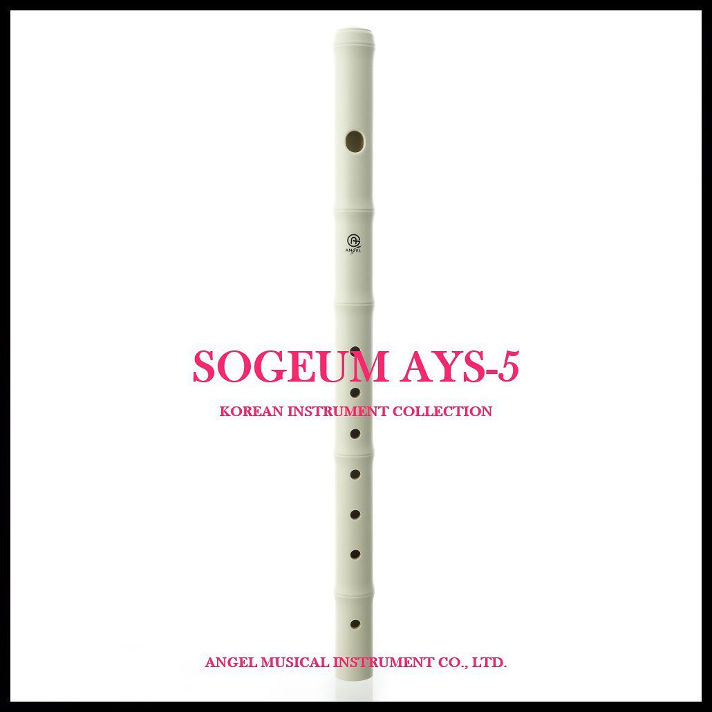 소금 AYS-5 SOGEUM AYS-5... - Angel Musical Instrument Company
