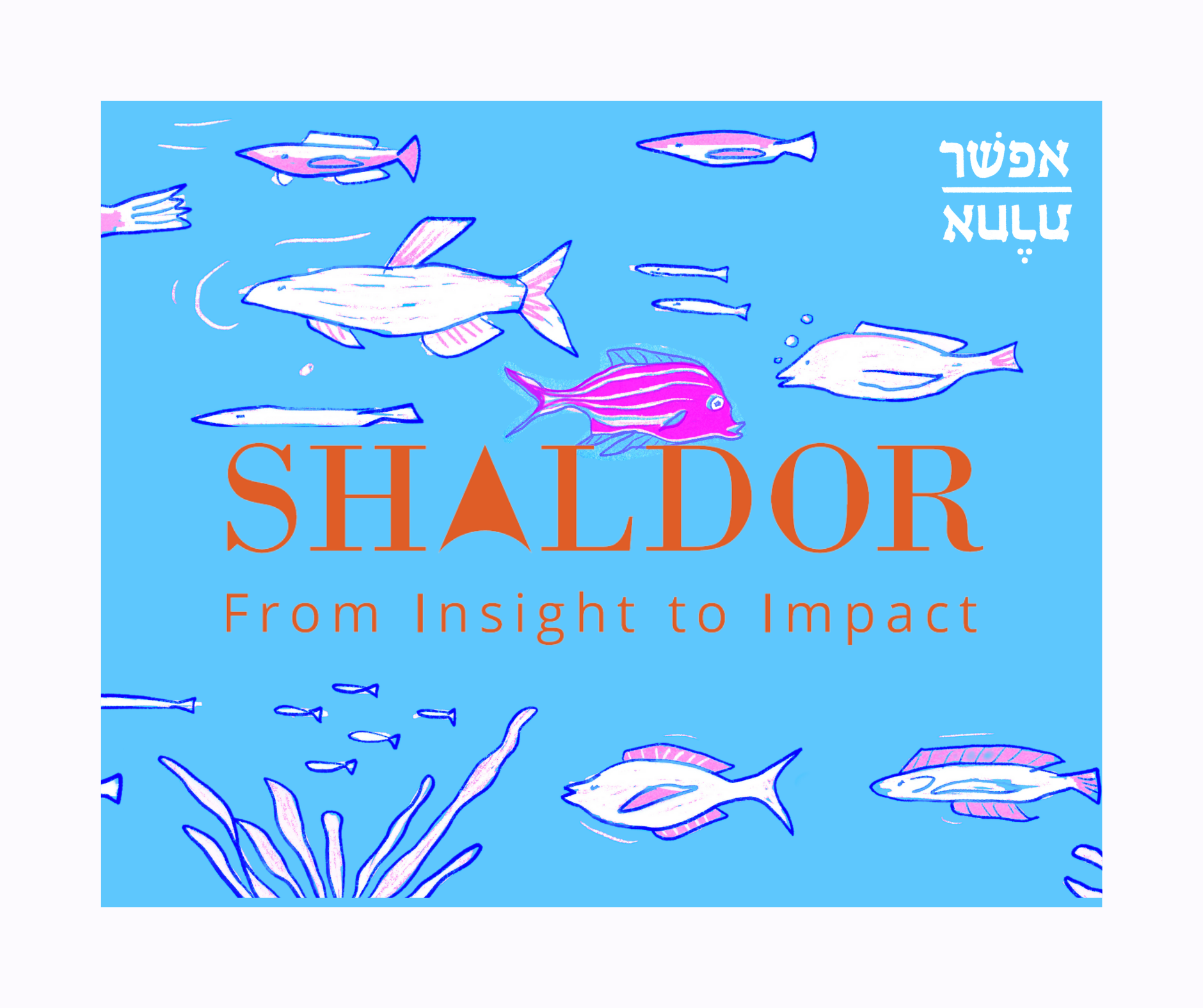 Shaldor | Tel Aviv