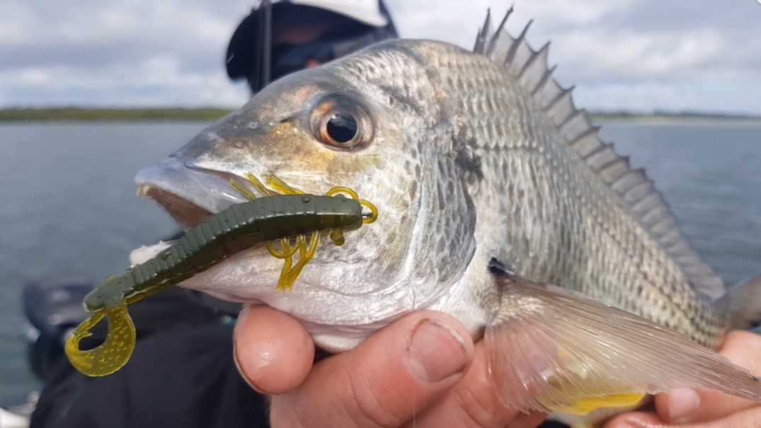 best lures for rainbow trout in spring T-Rip 1/2