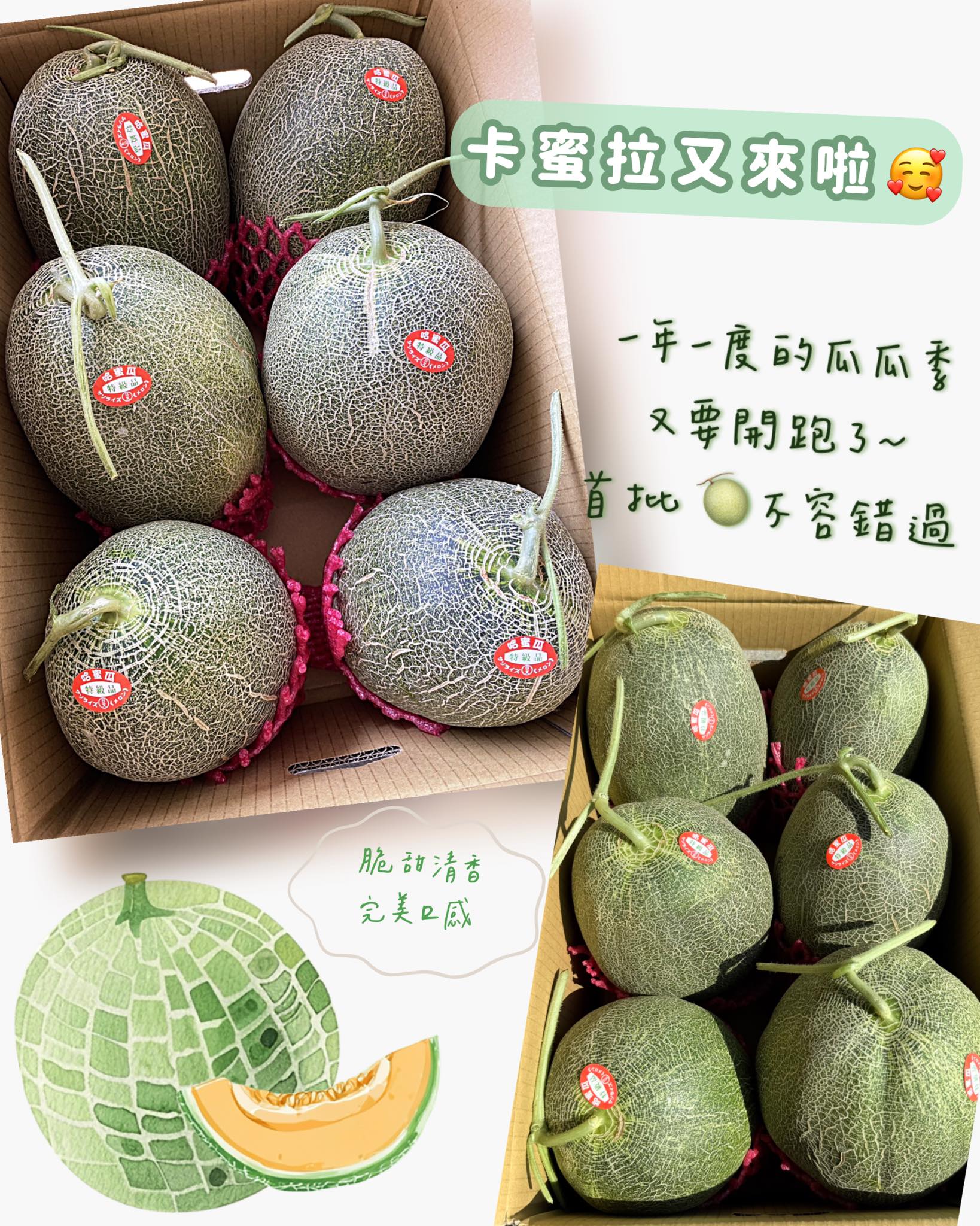王縈靖 - 每年都要大力販售一波 💗卡蜜拉瓜瓜🍈季開跑囉 林老闆的瓜 買過吃過都說讚👍🏻 每批開採時間不同... | Facebook