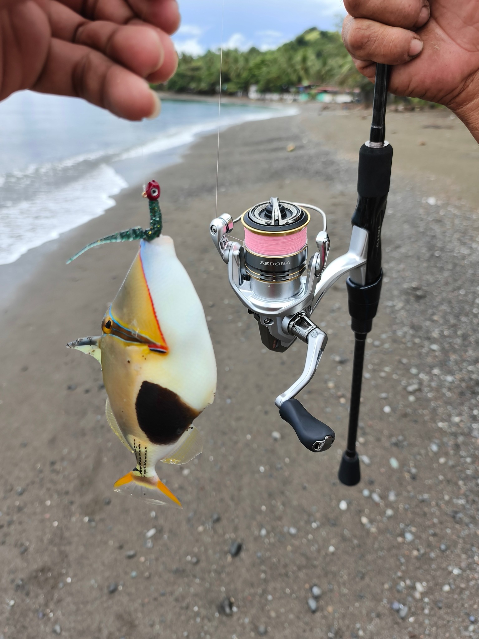 charlton 8450c fly reel 🔥Charlton Model 5/6 spool Trade-in !MINT CONDITION! – Streams of Dreams fly shop Model:AJ-12SII Nomad DTX Minnow 220 Sand Spike Rod Holders