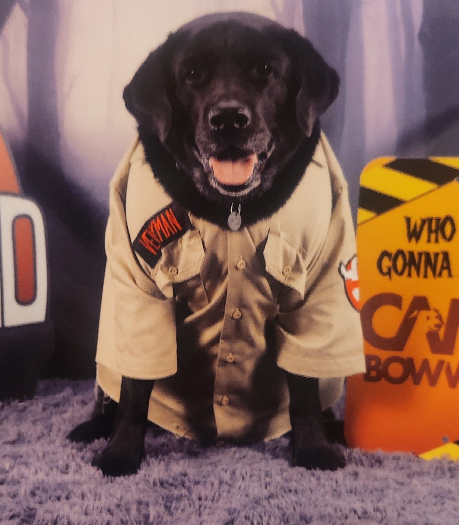 My handsome ghost buster!