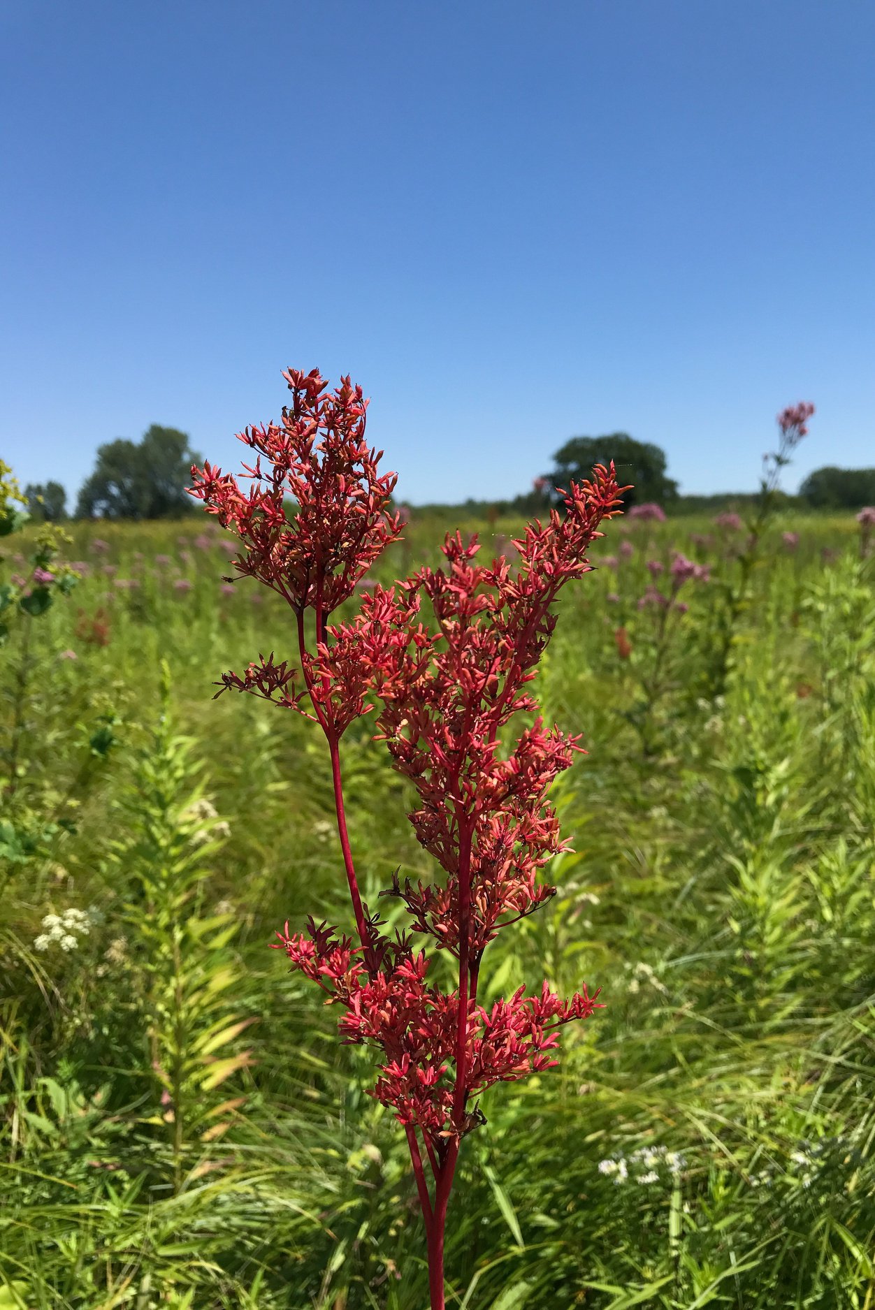 One of... - Ohio Division of Natural Areas and Preserves