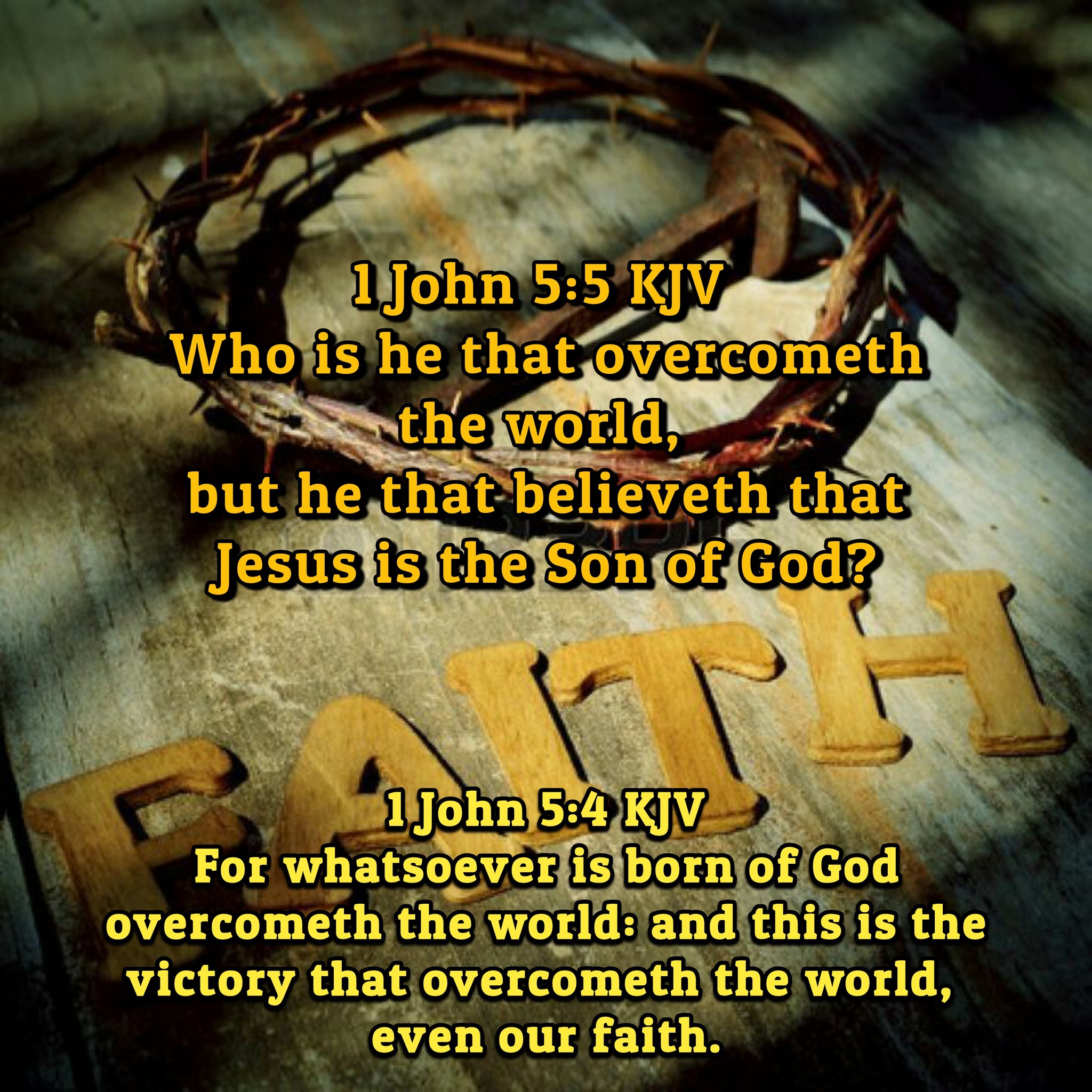 Inspiring Bible Quotes | ️ John 16:33 KJV | Facebook