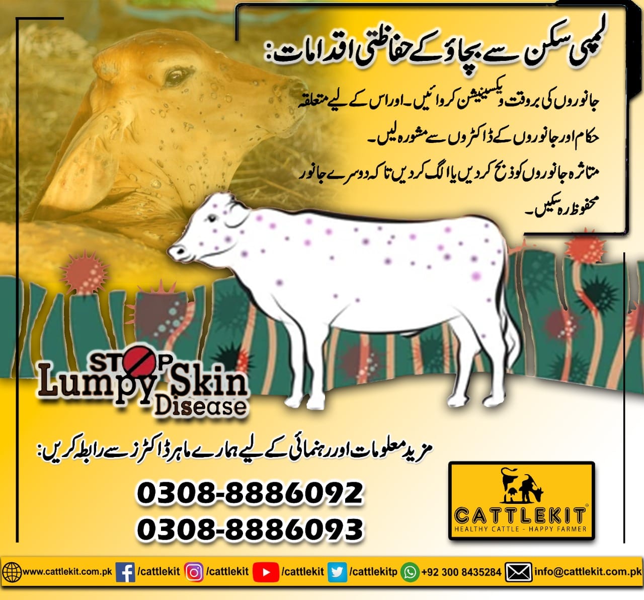 CATTLEKIT - ⛹⛹ Tip of the Day ⛹⛹ LUMPY SKIN DISEASE !!! Save your ...